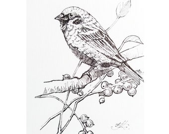 Bird Drawing Original Art Bird by ink  Graphics Birds Artwork Animals Drawing Ink Wall Art Ukranian Artist