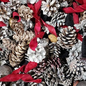 May include: A close-up of a mixture of pine cones, some painted silver and some natural brown, with red velvet ribbon accents.