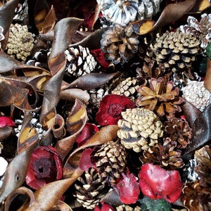 May include: A close-up of a mixture of potpourri, including pine cones, cinnamon sticks, and dried flowers. The pine cones are painted white, brown, and gold. The dried flowers are red.