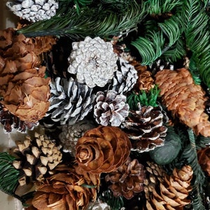 May include: A collection of pine cones in various sizes and colors, including brown, white, and green. Some of the pine cones have a frosted or glittery finish.