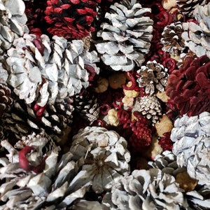 May include: A close-up of a mixture of white and red pine cones. The white pine cones are painted with a white glaze and the red pine cones are a deep burgundy color.
