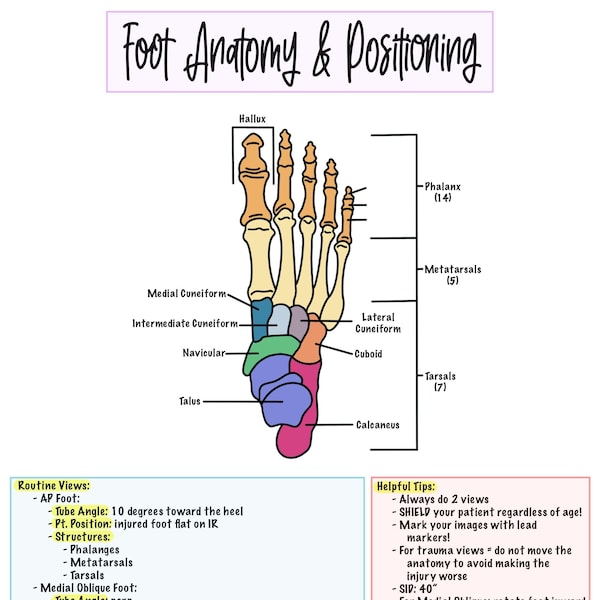 Foot Cheat Sheet