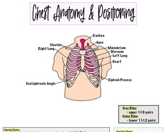 Chest Cheat Sheet