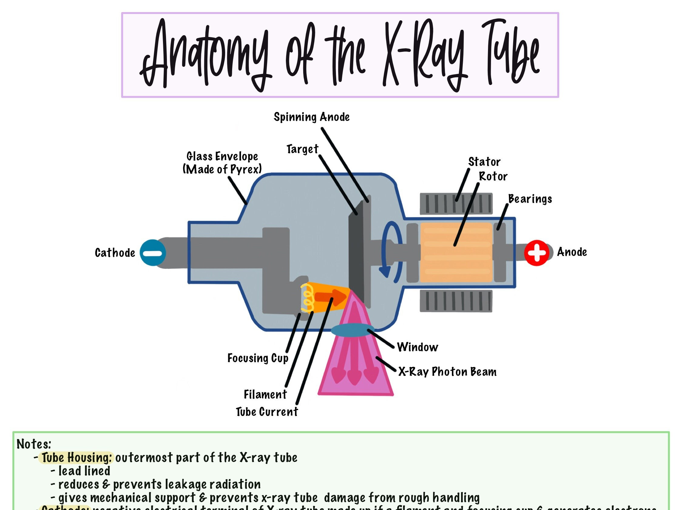 Xray Tube Components Cheat Sheet Etsy
