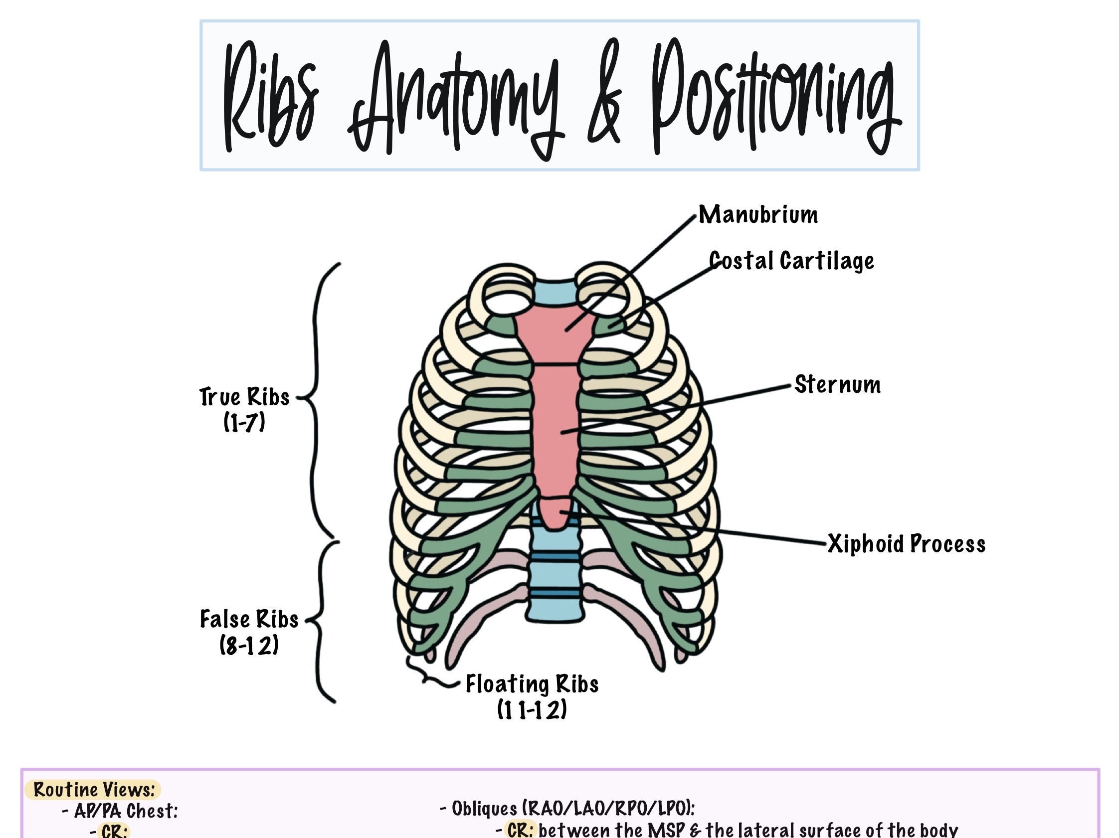 Ribs Cheat Sheet