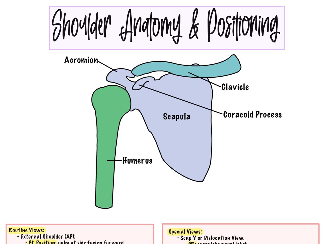 Shoulder Cheat Sheet Etsy