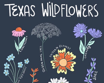 Texas Wildflower Print | Best Seller! | Digital Download | Home Decor | Art Print | Gift for Her | Texas Gifts