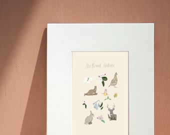 Northeast Natives Art Print | Plant and Wildlife Print