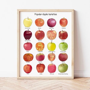 Apfel Poster Lernwand Kunst Hausschule Klassenzimmer Dekor Apfel Küche Dekor Aquarell Montessori Charlotte Mason Vorschule Drucke