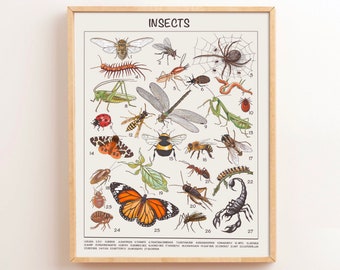 Insects Educational Posters Classroom Posters Montessori Decor Homeschool Preschool Learning Downloadable Prints