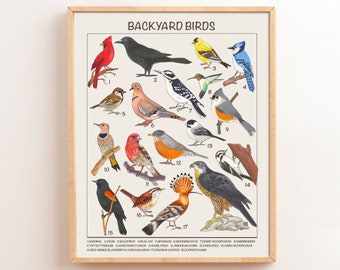 Pósteres educativos de aves de jardín, impresiones descargables Montessori para guardería, preescolar, educación en casa, decoración de aprendizaje para niños.