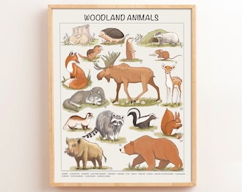 Woodland Animals Educational Posters Montessori Nursery Downloadable Prints Preschool Homeschool Printable Kids Children Learning Decor