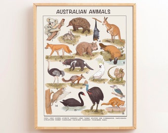 Australian Animals Educational Posters, Printable Montessori Materials, Preschool Homeschool Classroom Prints