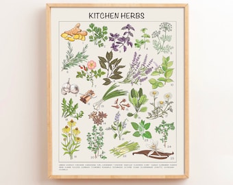 Kitchen Herbs Downloadable Prints, Homeschool Educational Prints, Printable Montessori Materials
