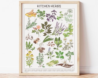 Kitchen Herb Educational Posters, Homeschool Montessori Classroom Posters, Preschool Playroom Downloadable Prints