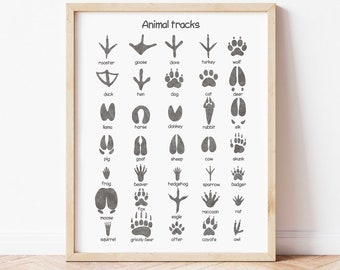 Animal Tracks Print Woodland Nursery Decor Rustic Outdoor Adventure Boy Room Decor Printable Wall Art Classroom Downloadable Prints