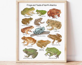 Frogs and Toads of North America Educational Poster Charlotte Mason Downloadable Prints Nature Homeschool Learning Poster for Toddlers