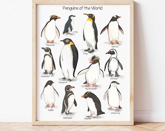 Penguins of the World Educational Poster Penguin Wall Art Animal Nursery Prints Printable Montessori Poster Nordic Watercolor Print