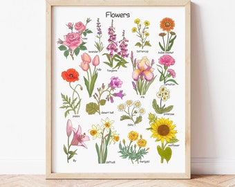 May include: A framed print featuring a botanical illustration of various flowers, including roses, tulips, and sunflowers. Each flower is labeled with its name in a handwritten font. The print has a light wooden frame and is displayed against a white background.