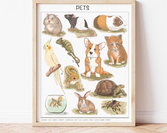 Pets Educational Poster, Montessori Homeschool Decor (Digital Download)