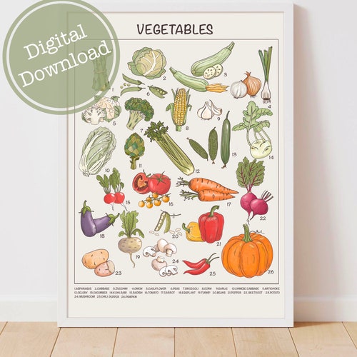Vegetable Poster Downloadable Prints Printable Educational - Etsy