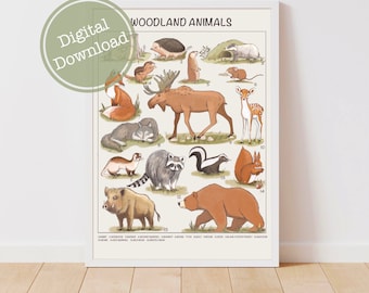 Forest Animals Print - Downloadable Prints, Printable Montessori Materials, Educational Prints