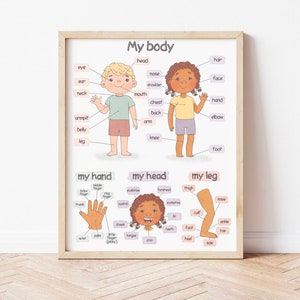 Body Parts Poster Montessori Homeschool Educational Posters for Toddlers Human Body Downloadable Prints Preschool Kids Anatomy Poster