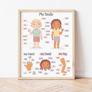 Körperteile Poster Montessori Homeschool Lernposter für Kleinkinder Menschlicher Körper Herunterladbare Drucke Vorschulkinder Anatomie Poster