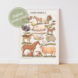 Póster de animales de granja, pósteres para aulas, impresiones descargables para preescolar, materiales Montessori imprimibles para educación en casa, arte mural con animales para sala de juegos.