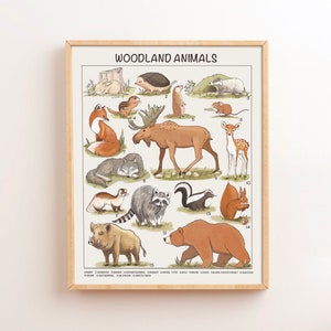 Woodland Animals Educational Posters Montessori Nursery Downloadable Prints Preschool Homeschool Printable Kids Children Learning Decor