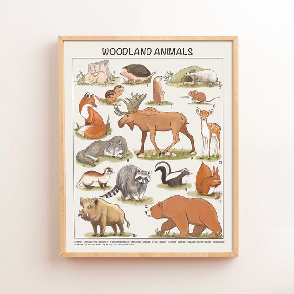 Woodland Animals Educational Posters Montessori Nursery Downloadable Prints Preschool Homeschool Printable Kids Children Learning Decor