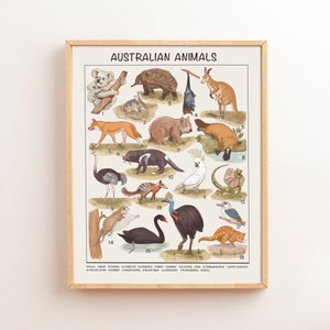 Carteles educativos de animales australianos, materiales Montessori imprimibles, impresiones de aulas de educación preescolar en el hogar