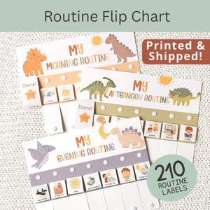 May include: A set of three dinosaur-themed routine flip charts with the titles "My Morning Routine", "My Afternoon Routine", and "My Evening Routine". The charts include illustrated labels and the text "210 Routine Labels".