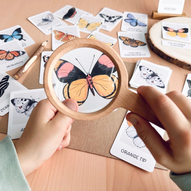 Puede incluir: Una lupa de madera se sostiene sobre una ilustraci&oacute;n de mariposa. Varias tarjetas con ilustraciones y nombres de mariposas rodean la lupa. Un l&aacute;piz de madera descansa sobre la mesa. La mariposa en foco tiene alas naranjas, rosas y negras.