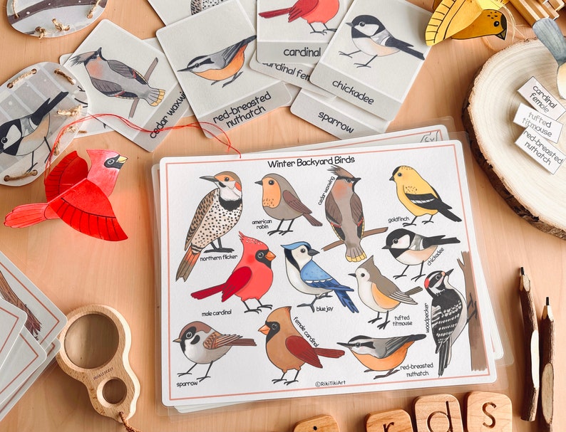 May include: A printable chart featuring illustrations of 12 different winter backyard birds, including a cardinal, chickadee, sparrow, and woodpecker. The chart is titled "Winter Backyard Birds".