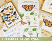 Butterfly Unit Study Bundle Charlotte Mason Nature Study Homeschool Learning Materials Educational Prints Butterfly Preschool Busy Binder