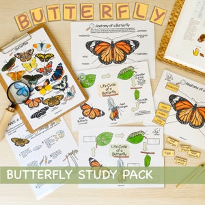 Butterfly Unit Study Bundle Charlotte Mason Nature Study Homeschool Learning Materials Educational Prints Butterfly Preschool Busy Binder image 1