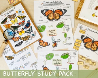 Pacchetto di studio sulle farfalle, materiali didattici per l&#39;istruzione parentale, stampe educative, raccoglitore per la scuola materna con farfalle