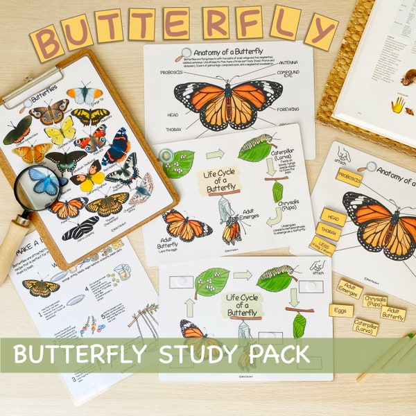 Butterfly Unit Study Bundle Charlotte Mason Nature Study Homeschool Learning Materials Impressions éducatives Butterfly Preschool Busy Binder