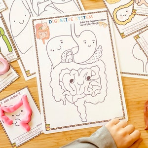 Human Organs Play Dough Mats Fine Motor Skills Preschool Printables Body Play Doh Mats Montessori Toddler Activities Anatomy Visual Cards image 7