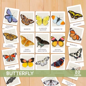 Butterfly Flash Cards Montessori Printable Homeschool Resources Toddler Flashcards Butterfly Study Nature Educational Montessori Materials