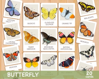 Butterfly Flash Cards Montessori Printable Homeschool Resources Toddler Flashcards Butterfly Study Nature Educational Montessori Materials