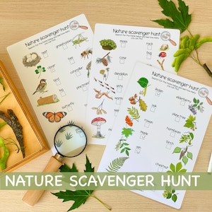 May include: Three printable nature scavenger hunt checklists with illustrations of common plants, animals, and insects. The checklists include items like a nest, grasshopper, clover, bee, caterpillar, pine branch, butterfly, moss, cone, rock, bug, dandelion, ants, worm, seed, mushroom, linden, elderberry, oak, plane tree, rowan, hornbeam, maple, birch, and chestnut.