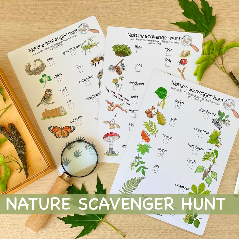 May include: Three printable nature scavenger hunt checklists with illustrations of common plants, animals, and insects. The checklists include items like a nest, grasshopper, clover, bee, caterpillar, pine branch, butterfly, moss, cone, rock, bug, dandelion, ants, worm, seed, mushroom, linden, elderberry, oak, plane tree, rowan, hornbeam, maple, birch, and chestnut.