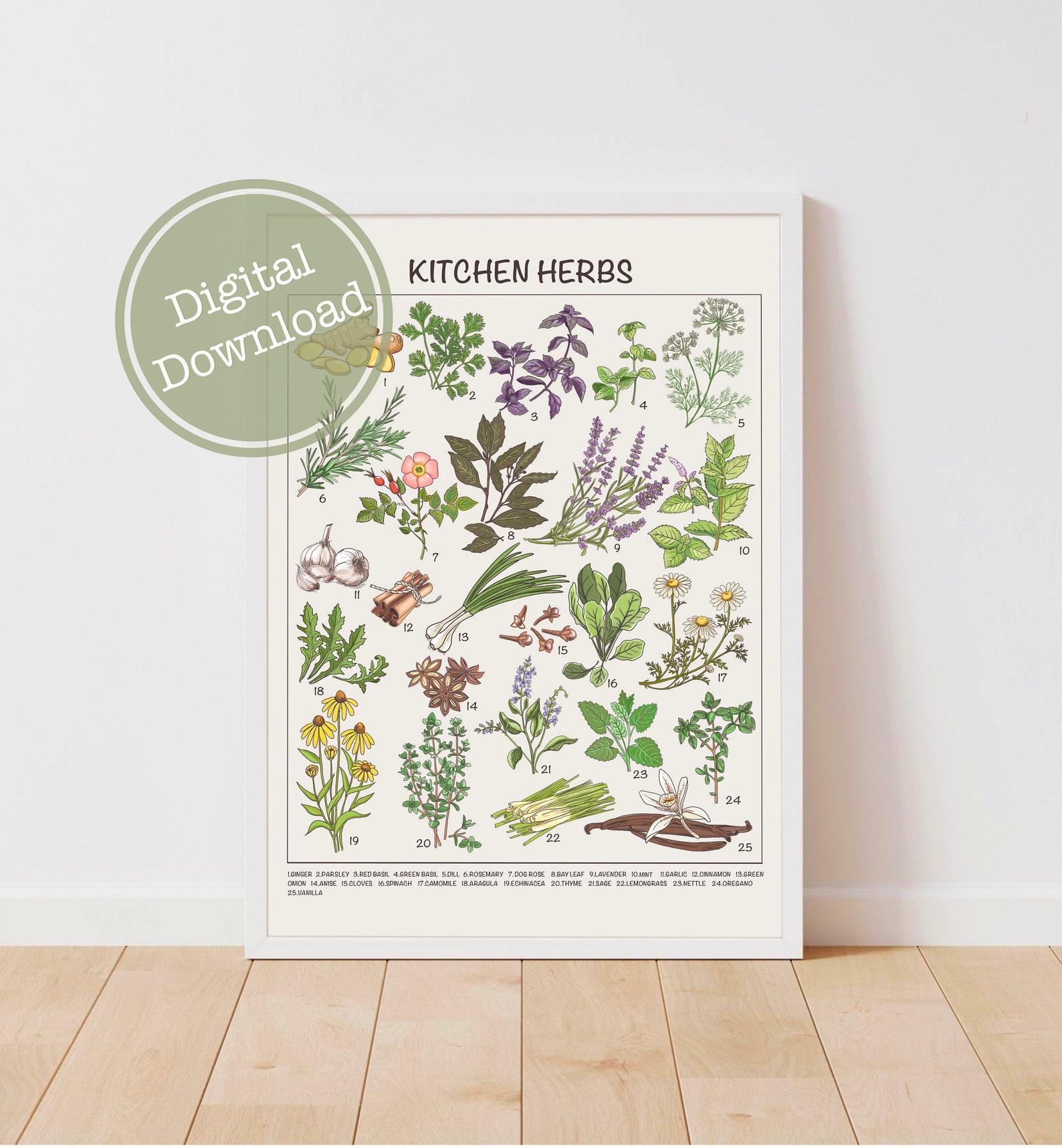 Kitchen Herbs Downloadable Prints Homeschool Educational | Etsy