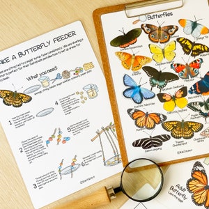 Butterfly Unit Study Bundle Charlotte Mason Nature Study Homeschool Learning Materials Educational Prints Butterfly Preschool Busy Binder image 7