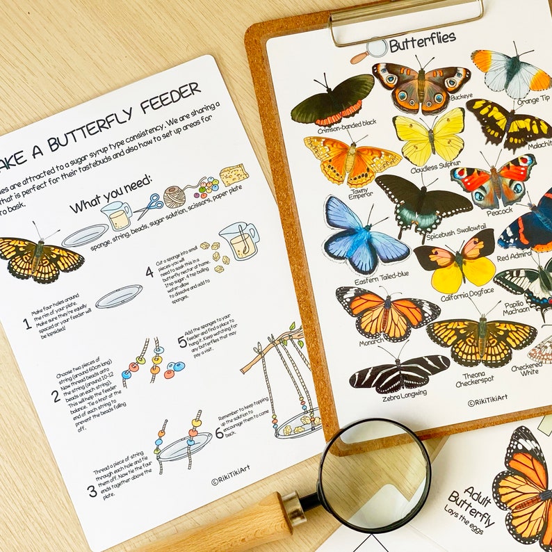 Butterfly Unit Study Bundle Charlotte Mason Nature Study Homeschool Learning Materials Educational Prints Butterfly Preschool Busy Binder image 7