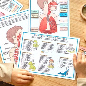 Respiratory System Bundle Human Anatomy Preschool Worksheets Toddler Activities Homeschool Educational Printables Human Body Learning image 7
