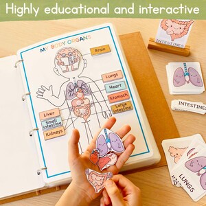 May include: A colorful educational learning tool for children featuring a human body diagram with removable organ pieces. The organs are illustrated with cute faces and include the brain, lungs, heart, stomach, liver, small intestine, large intestine, and kidneys.