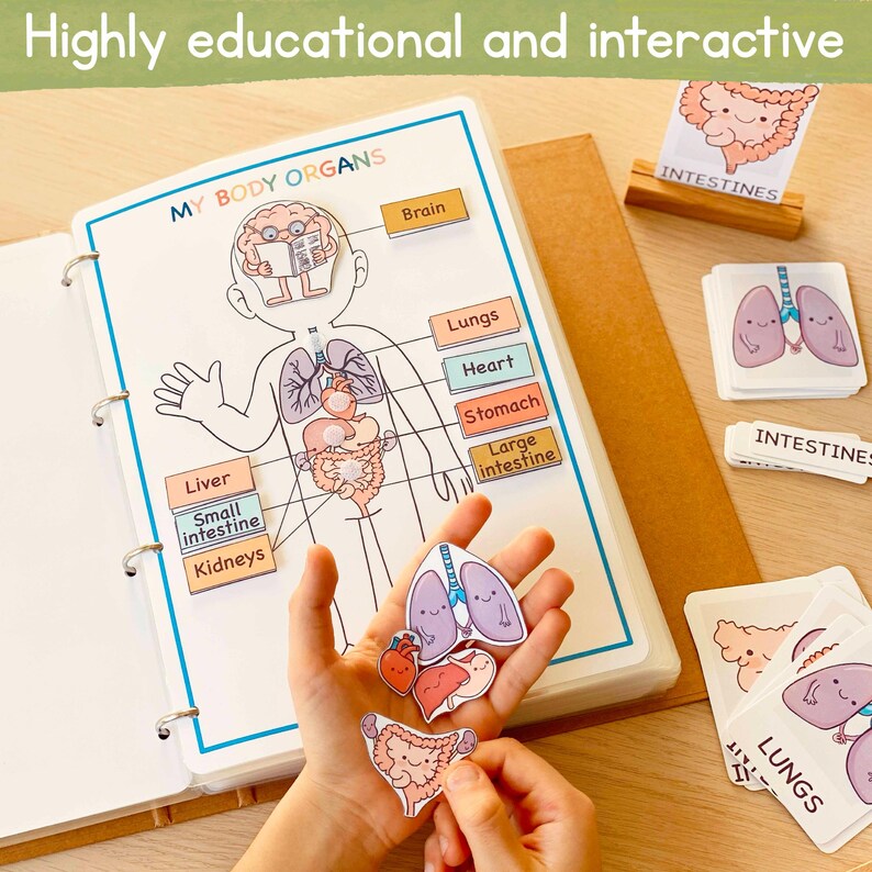 May include: A colorful educational learning tool for children featuring a human body diagram with removable organ pieces. The organs are illustrated with cute faces and include the brain, lungs, heart, stomach, liver, small intestine, large intestine, and kidneys.